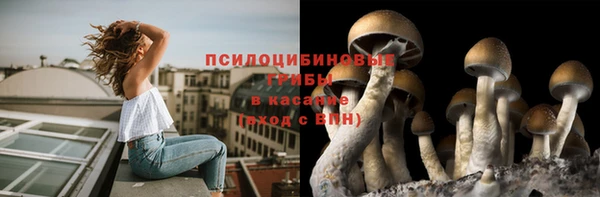 гидропоника Магадан