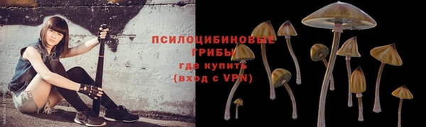 гидропоника Магадан