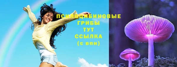 тгк Майский