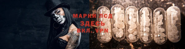 тгк Майский
