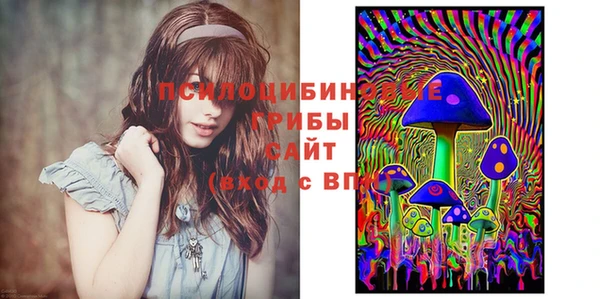 не бодяженный Магас
