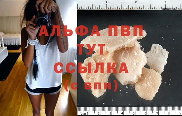 тгк Майский